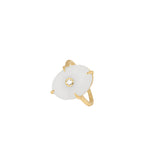 Anillo Amara