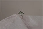 Vert Green Amethyst Ring